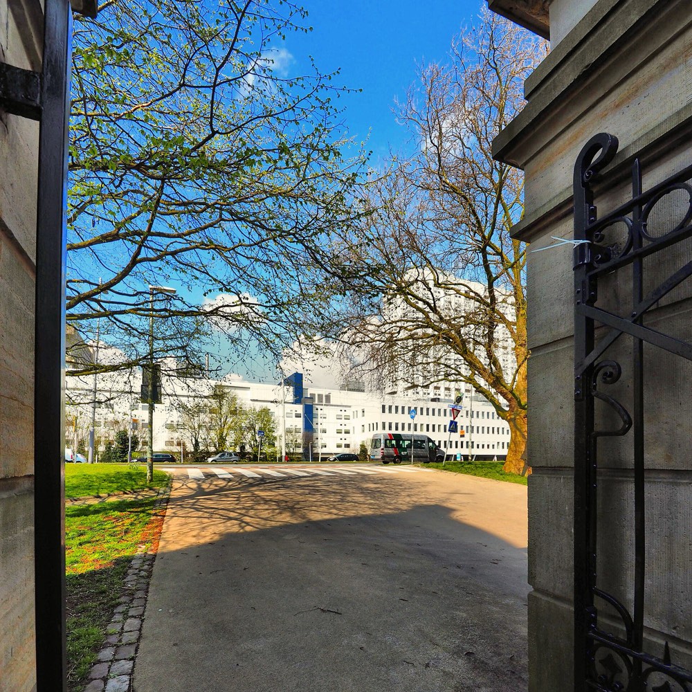 Erasmus University Rotterdam — Erasmus MC, Rotterdam